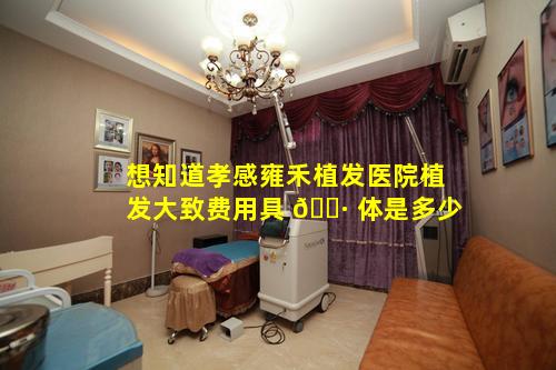 想知道孝感雍禾植发医院植发大致费用具 🌷 体是多少